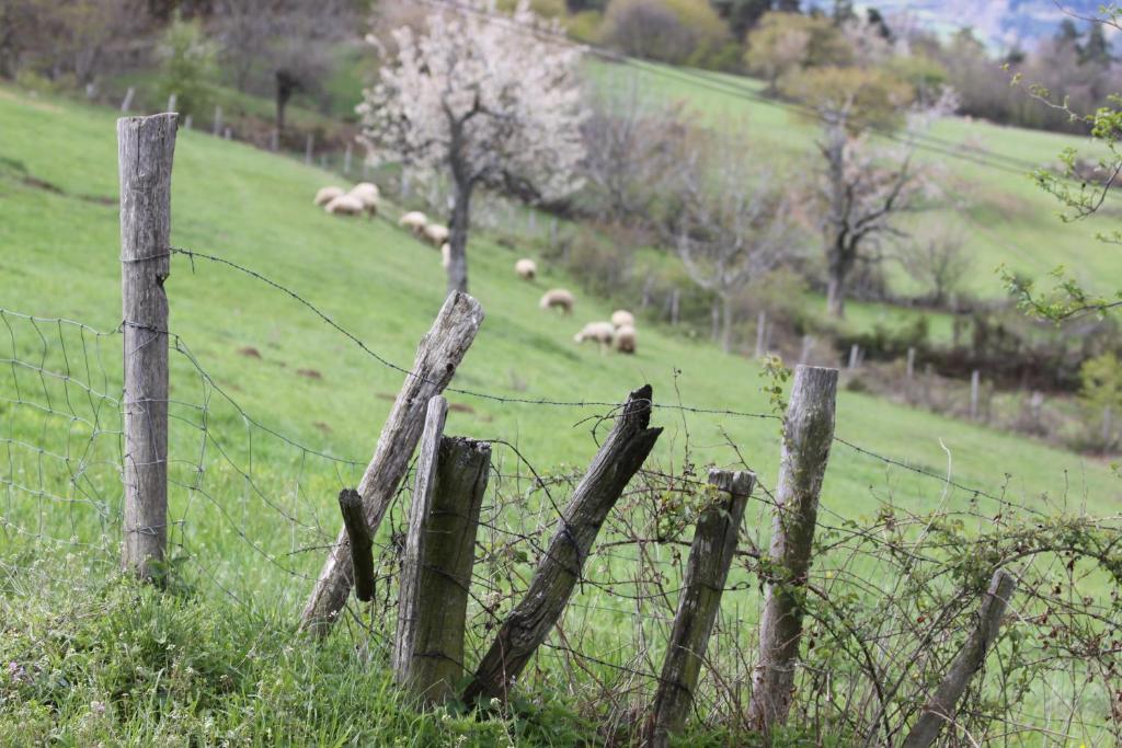 Bed and Breakfast La Bastide De Fontaille Сен-Фелисьен Экстерьер фото